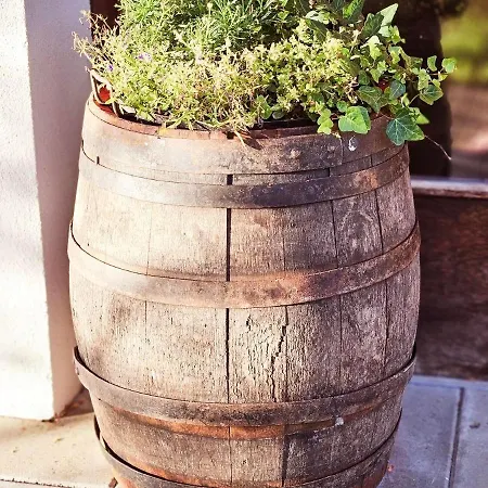 Der Alpenfrieden * Marul