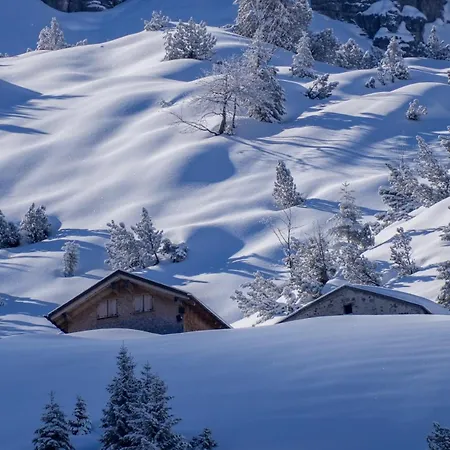 Der Alpenfrieden Marul