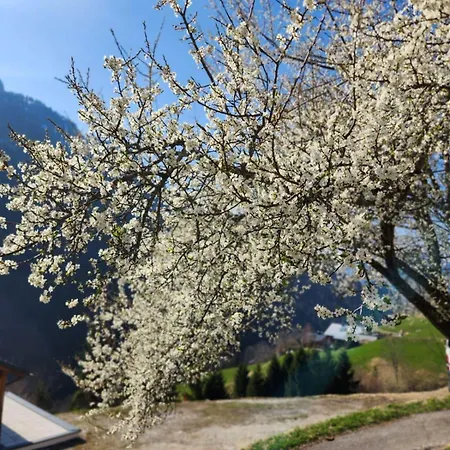Der Alpenfrieden