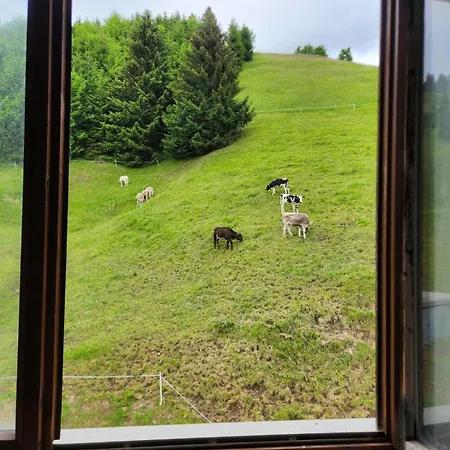 Der Alpenfrieden Marul