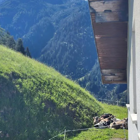 דירה Der Alpenfrieden